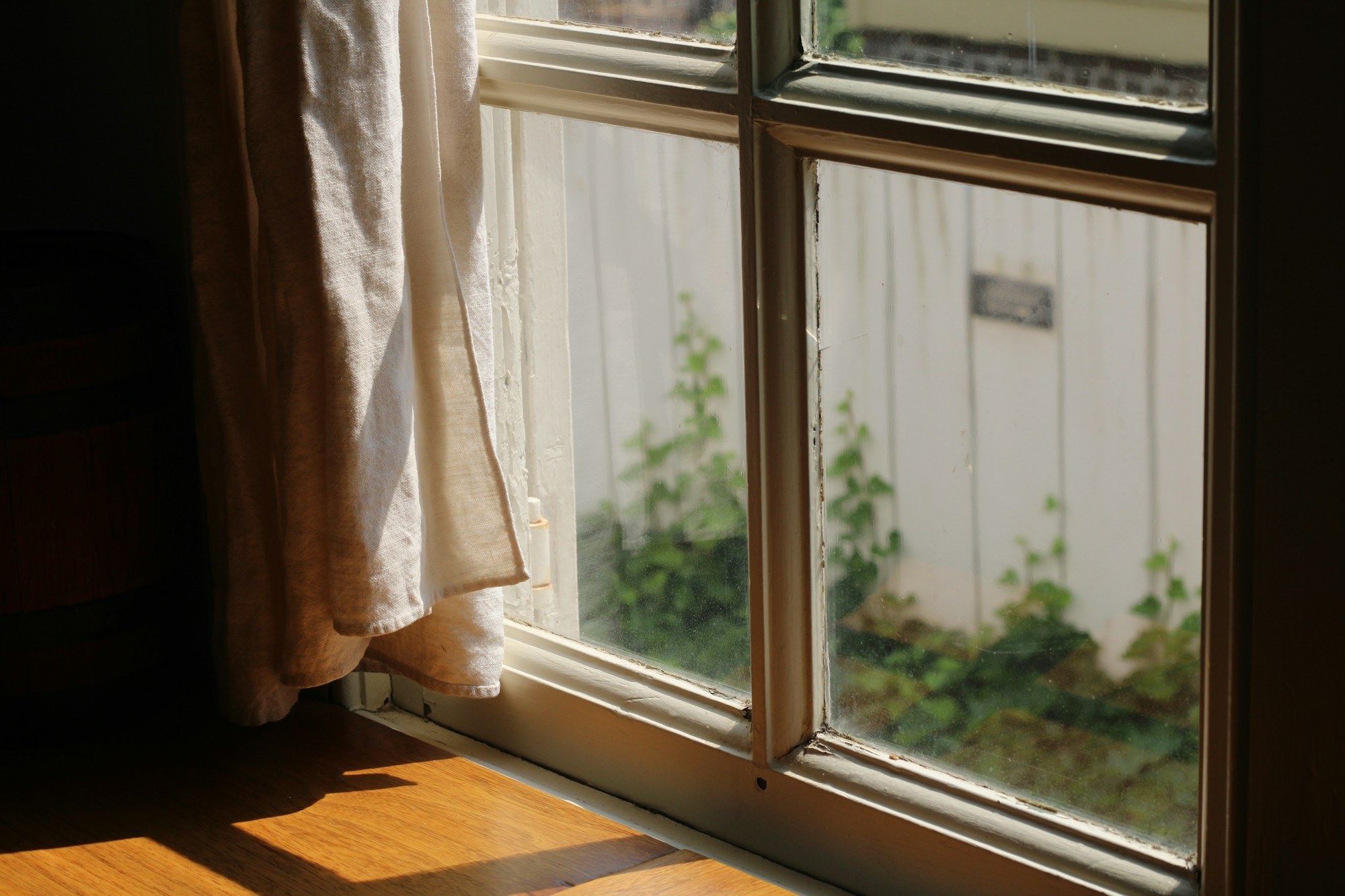 A sunlit window with a linen curtain overlooks a small garden with green plants against a white fence.